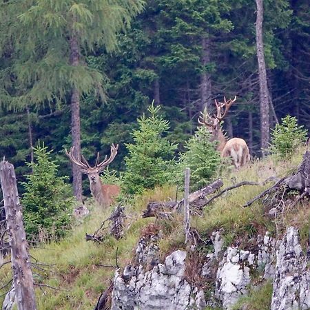 Ferienwohnung Kirchschlager Bad Aussee Exteriér fotografie